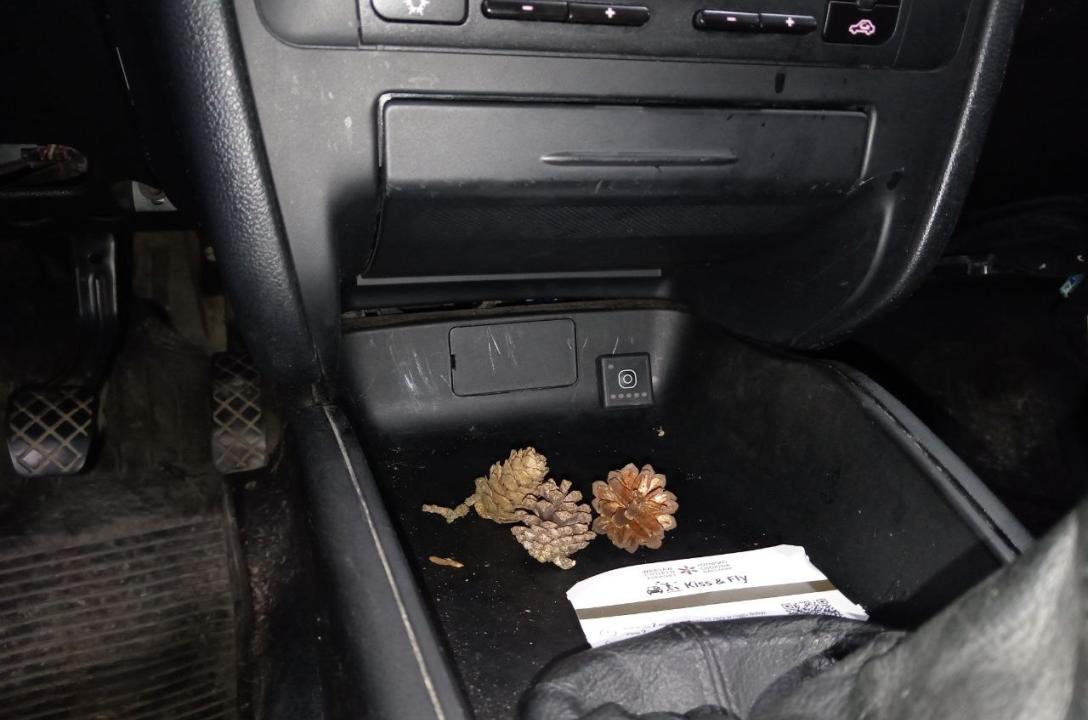 Przycisk przełączania paliwa gaz-benzyna