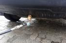 Газовий заправний пристрій в нижній частині бампера- мініатюра